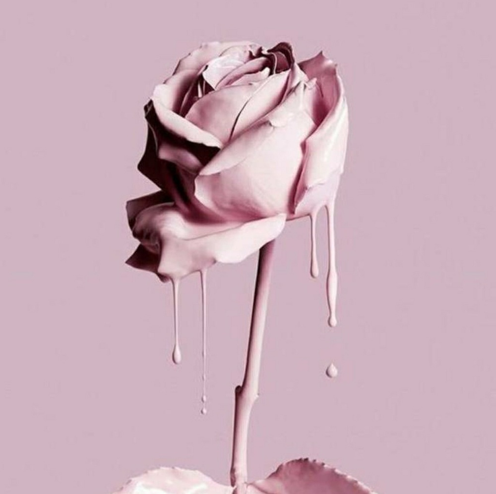 Meet your Posher, Meghan